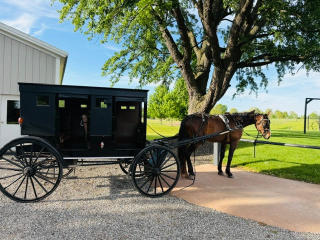 Shipshewana Amish Trip June 18th-19th 2027