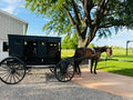 Shipshewana Amish Trip June 18th-19th 2027